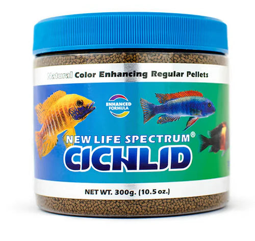 New Life Spectrum Cichlid