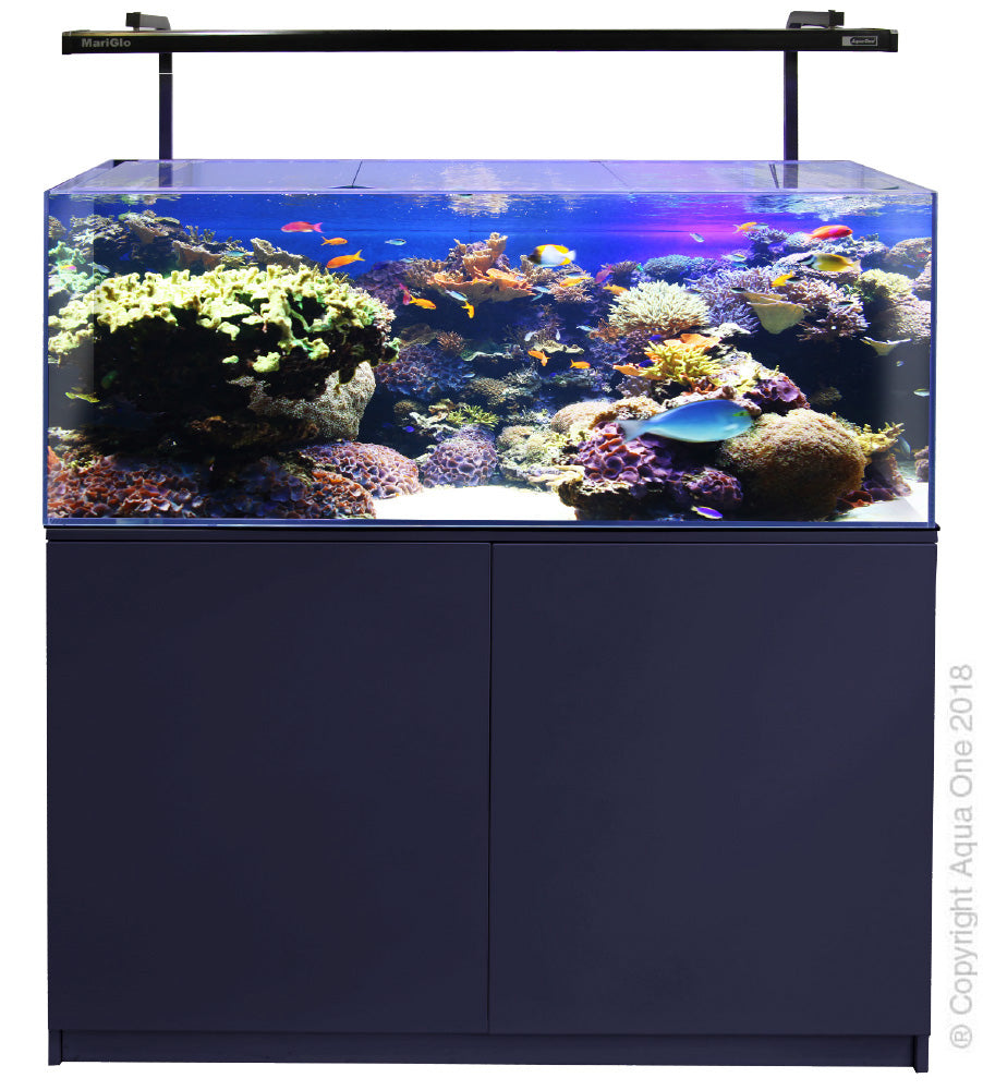 Marine Aquarium