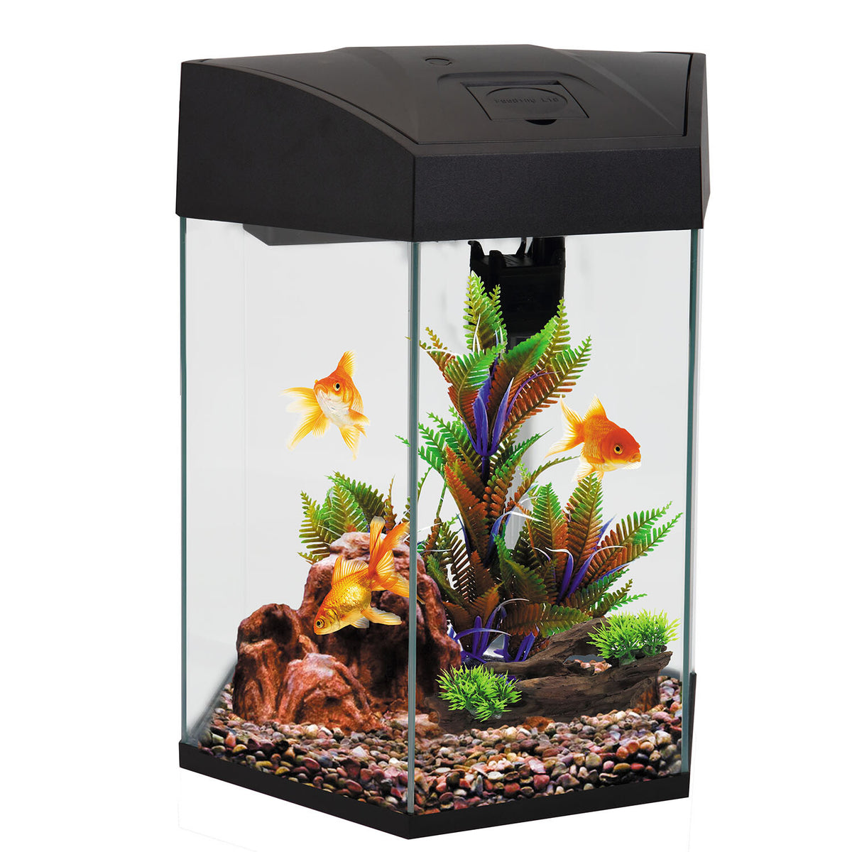 AA Hex Aquarium Black