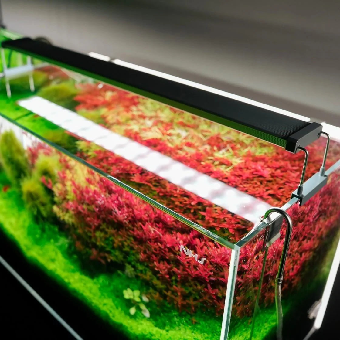 Chihiros B Series LED Aquarium Light