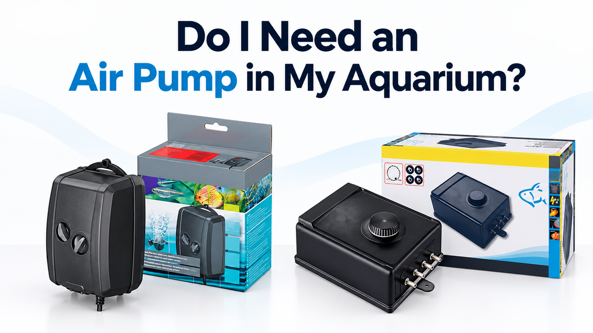 Do I Need an Air Pump in My Aquarium?