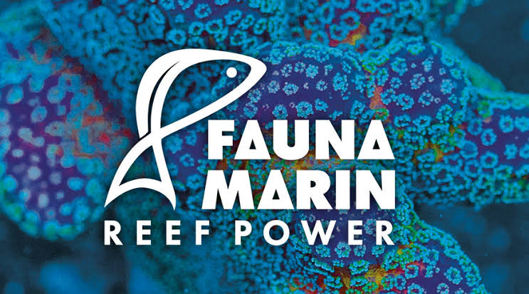 Why Fauna Marin Is One of the Best Marine Aquarium Brands in New Zealand