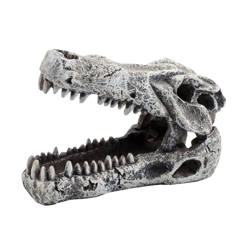 Crocodile Skull Ornament