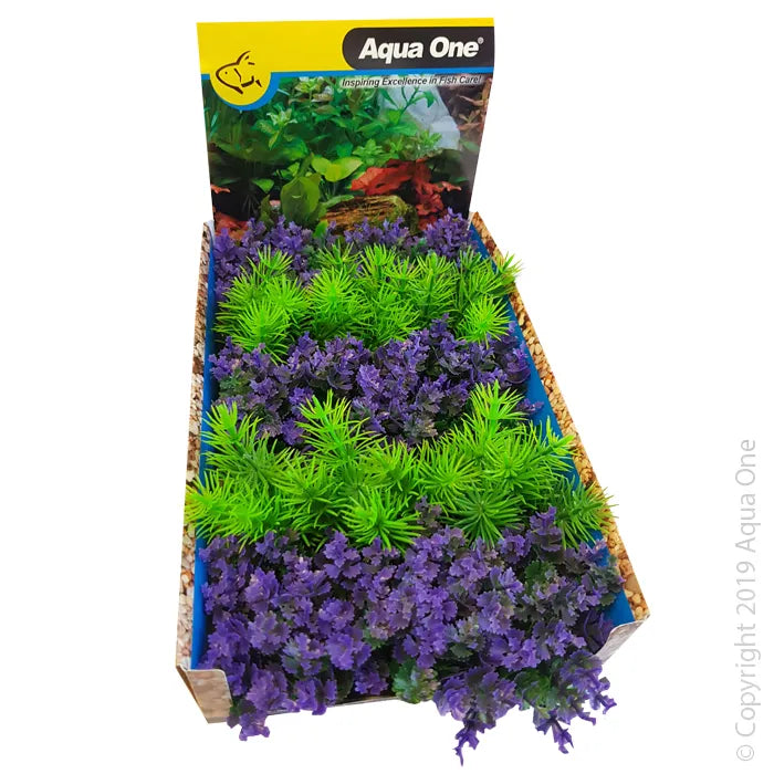 Ecoscape Foreground Catspaw Pu/ambulia GN