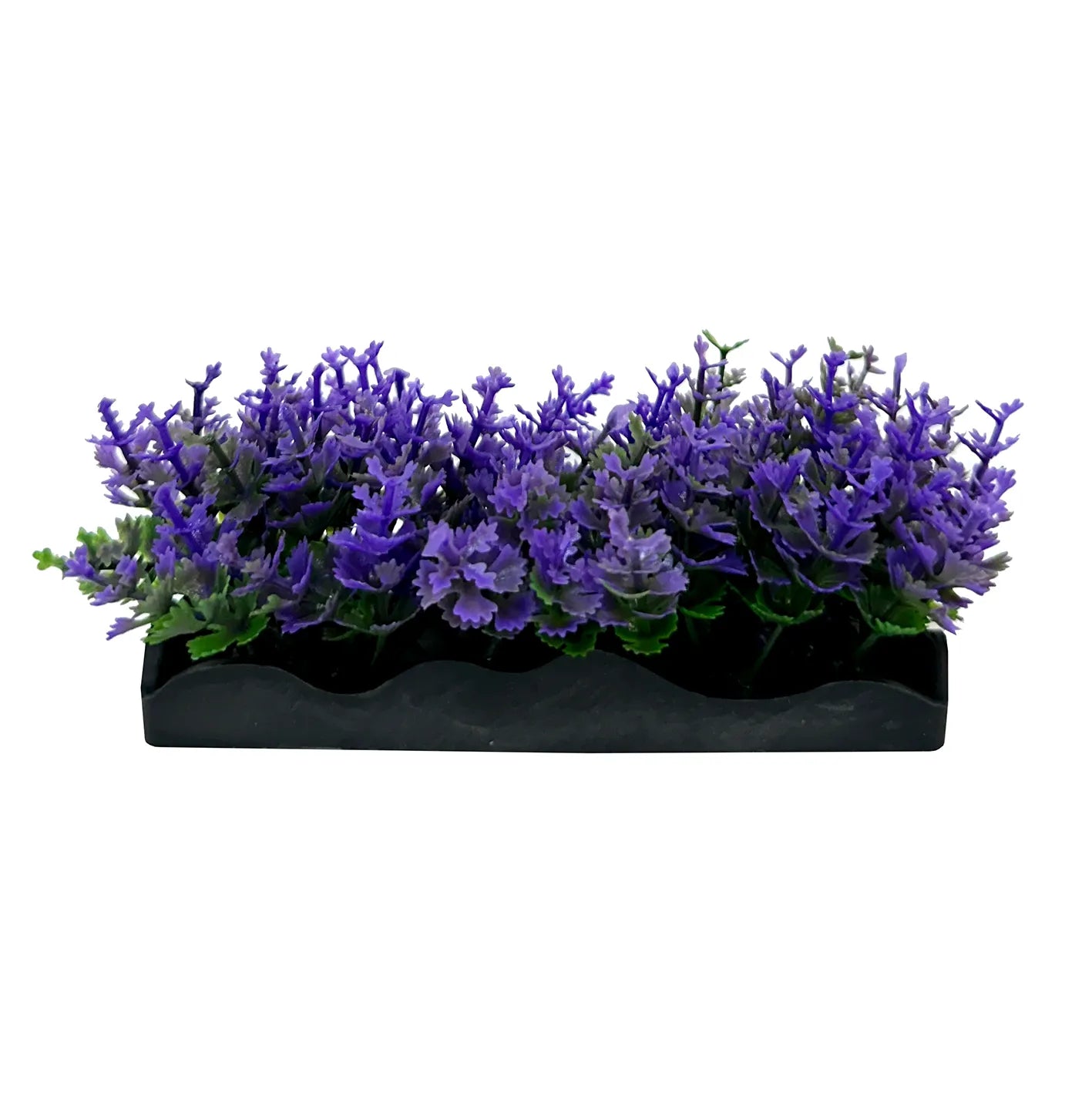 Ecoscape Foreground Catspaw Pu/ambulia GN