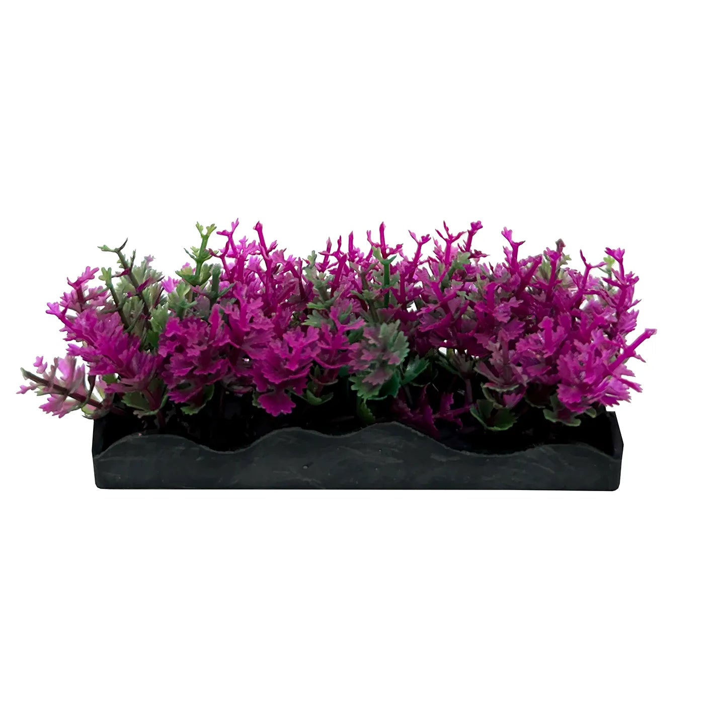 Ecoscape Foreground Catspaw Pk/hair Grass GN Mix