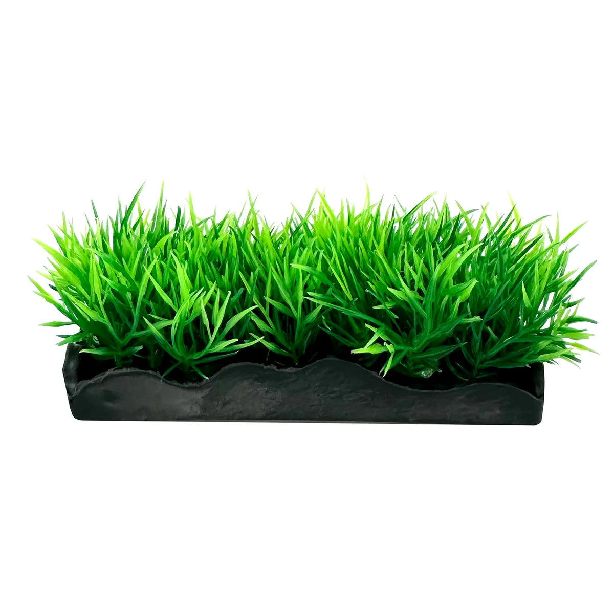 Ecoscape Foreground Catspaw Pk/hair Grass GN Mix