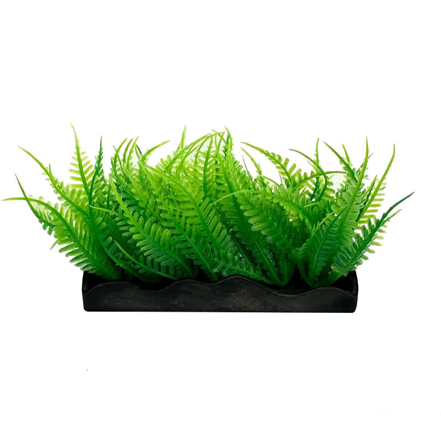 Ecoscape Foreground Ogris Auribus Yl/fern GN Mix