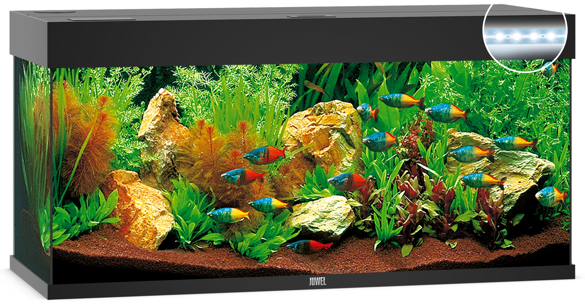 Juwel Rio 240 LED Aquarium Black