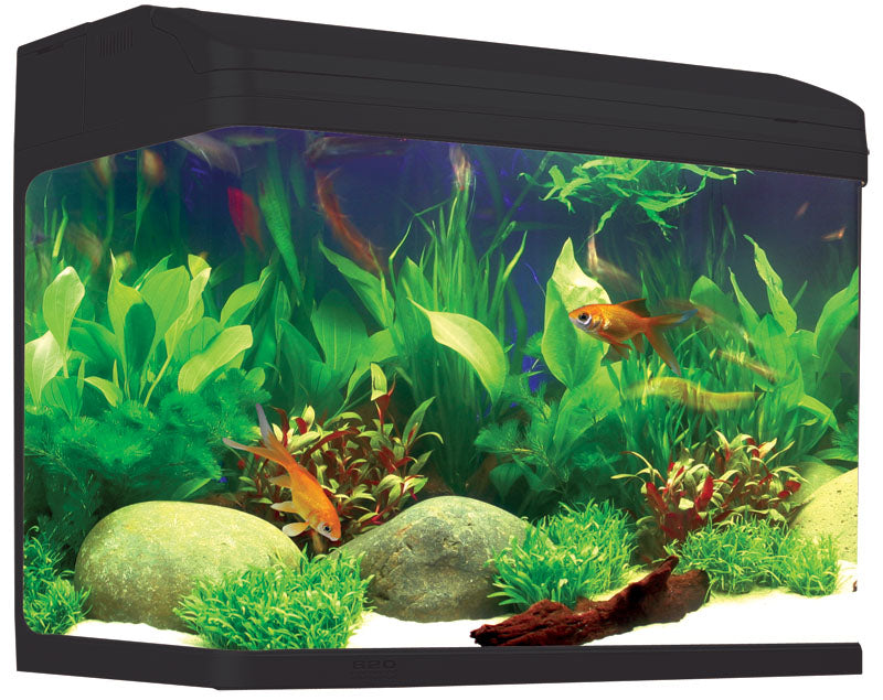 Aqua One AR 620 AquaStyle Tank (Gloss Black) 90L