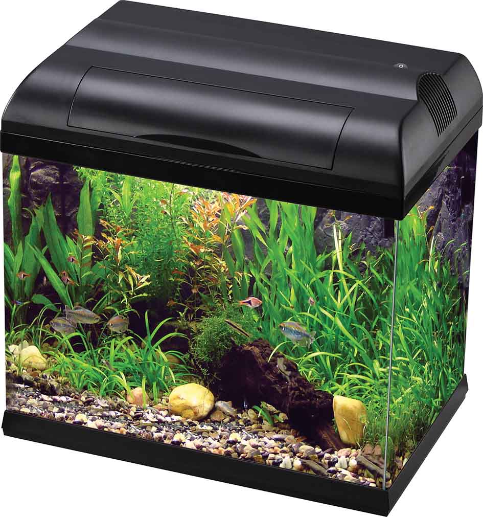 Aqua One EcoStyle 32 Rectangular Aquarium (black) 14L