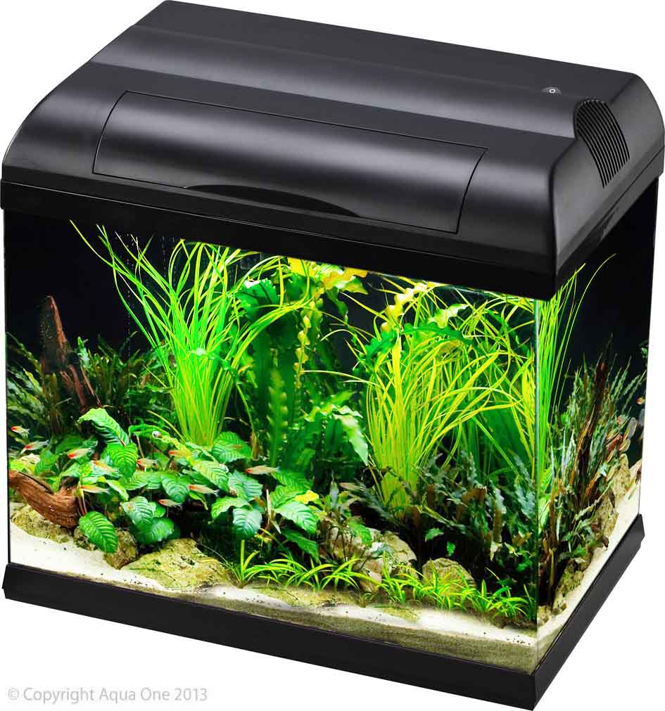 Aqua One EcoStyle 37 Rectangular Aquarium – Black 21L
