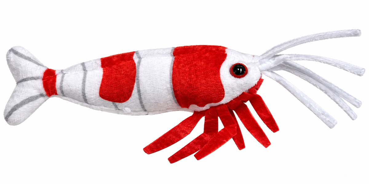 Shrimp Plushies