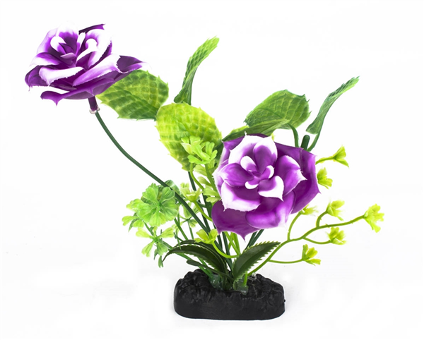 Floral Beauty Plant 15cm