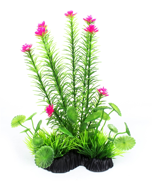 Floral Spike Plant 25cm