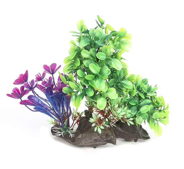 Majestic Cluster Plant 19cm