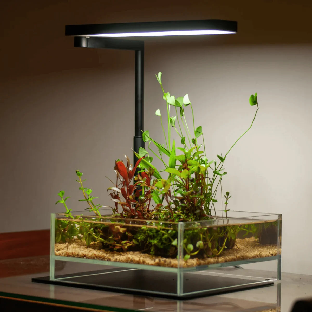 Chihiros C Series Desktop Aquarium Light for Nano Tank