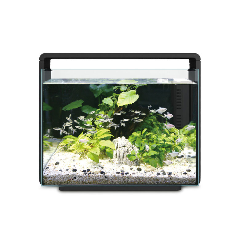 Hailea Aquarium 80L - Black E80