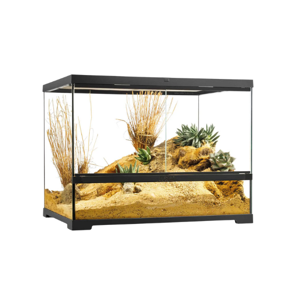 Exo Terra Pro Glass Terrarium