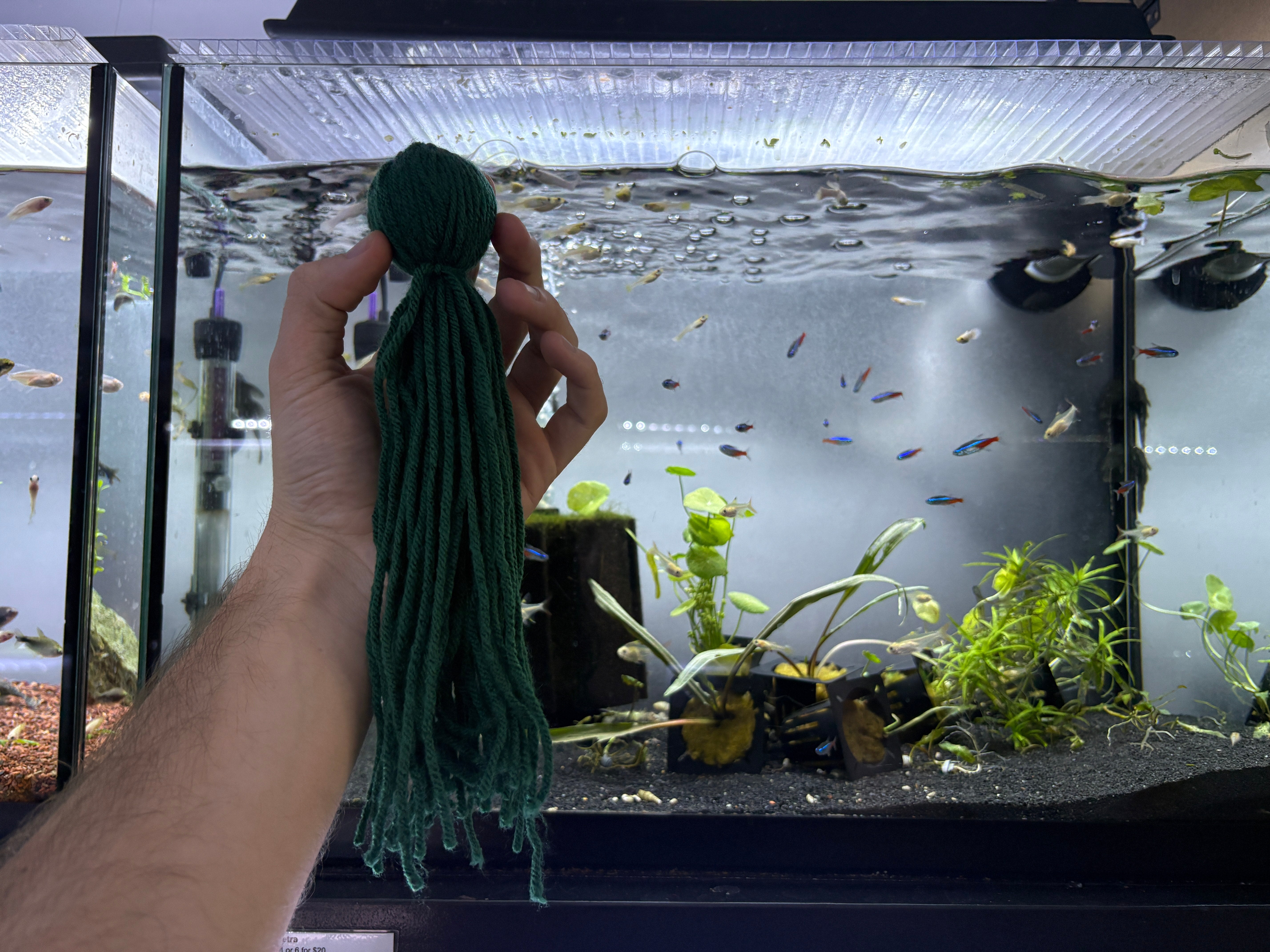 Spawning Mop