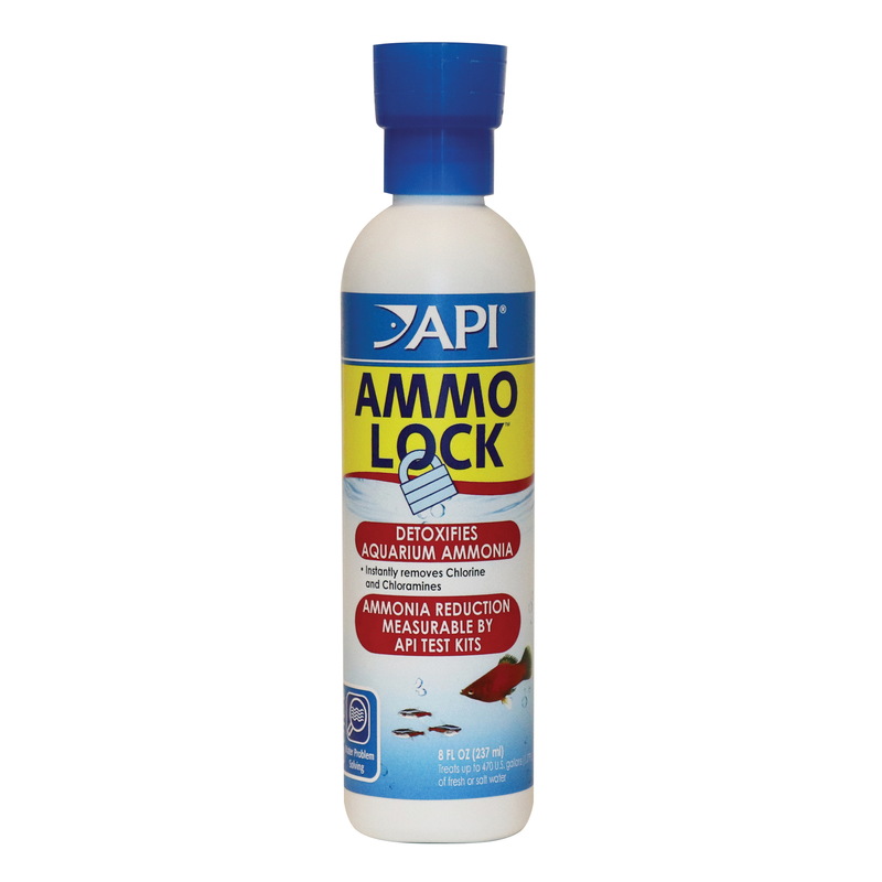 API Ammo Lock