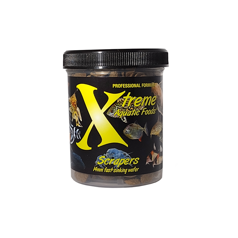 A container of Xtreme 142g Scrapers fish food, showing the product name and description, alongside images of fish and the size of the food pellets.