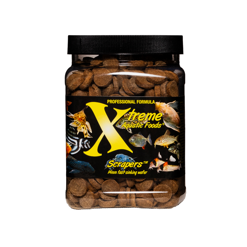 A container of Xtreme 510g Scrapers fish food, showing the product name and description, alongside images of fish and the size of the food pellets.
