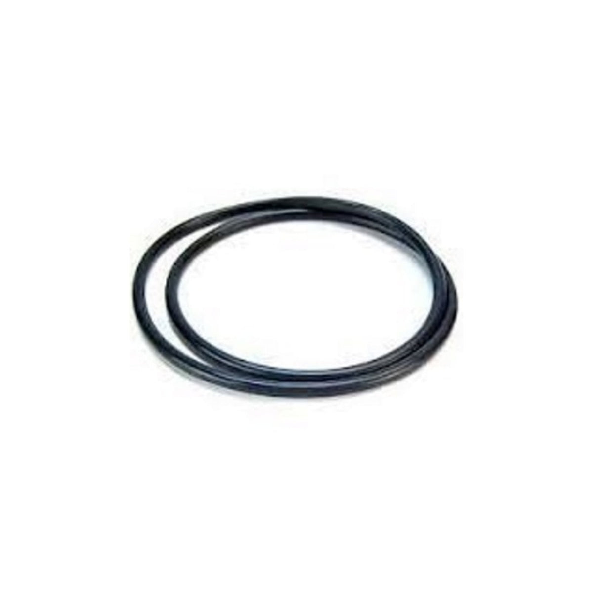 AquaOne Ocellaris 400 O-Ring For Pumphead