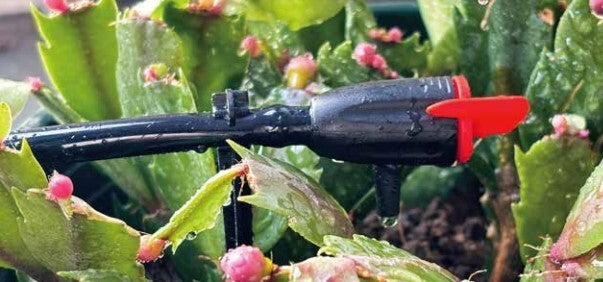 Automatic Solar Irrigation Drip system