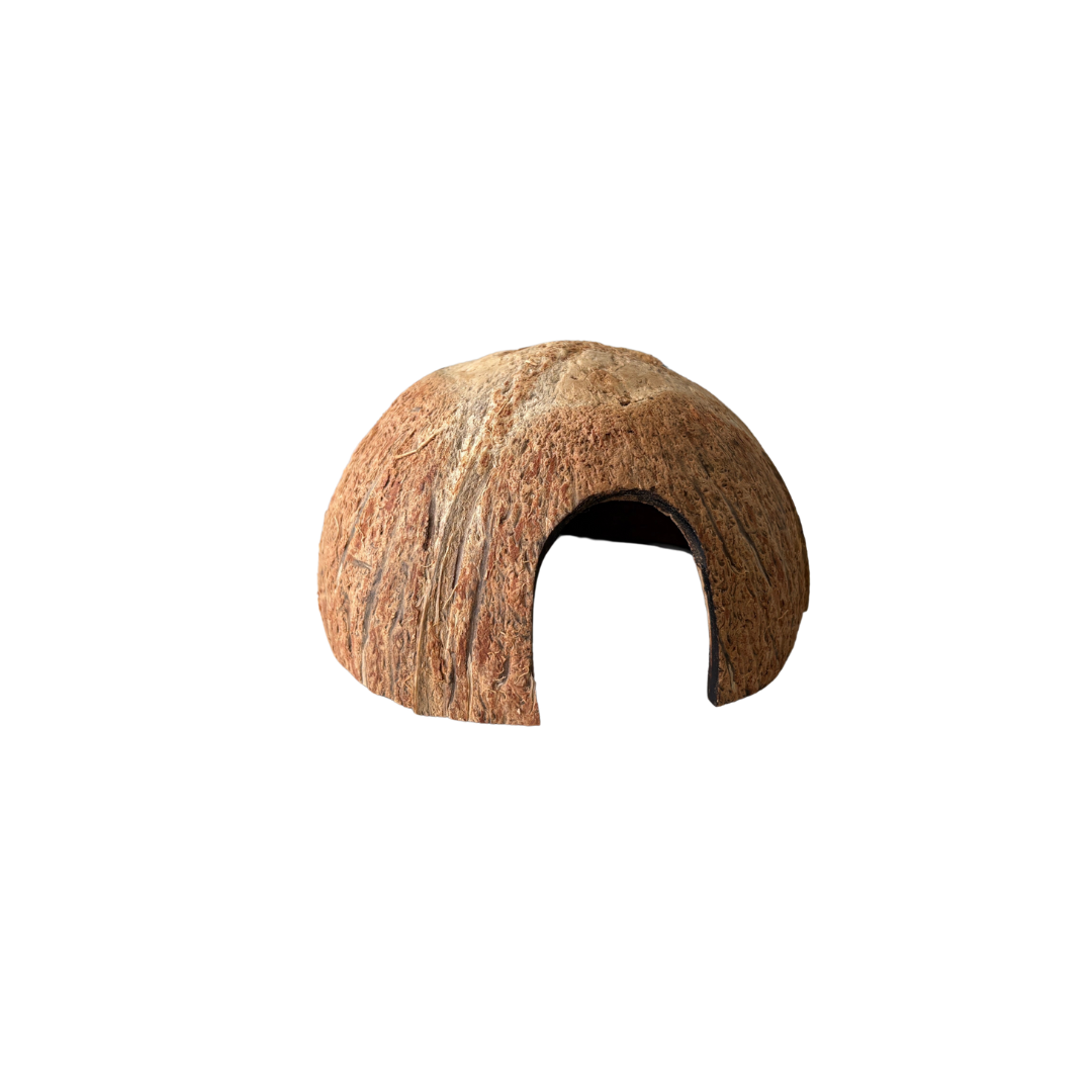 Coconut Hut