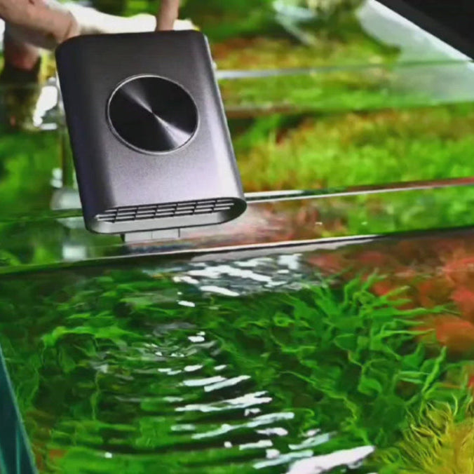 Chihiros Cooling Fan clipped onto the side of an aquarium with red and green plants blowing cool air onto the water creating ripples 