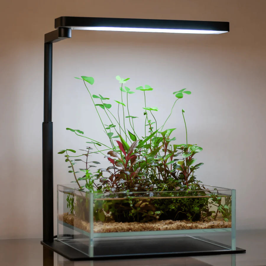 Chihiros CII RGB LED