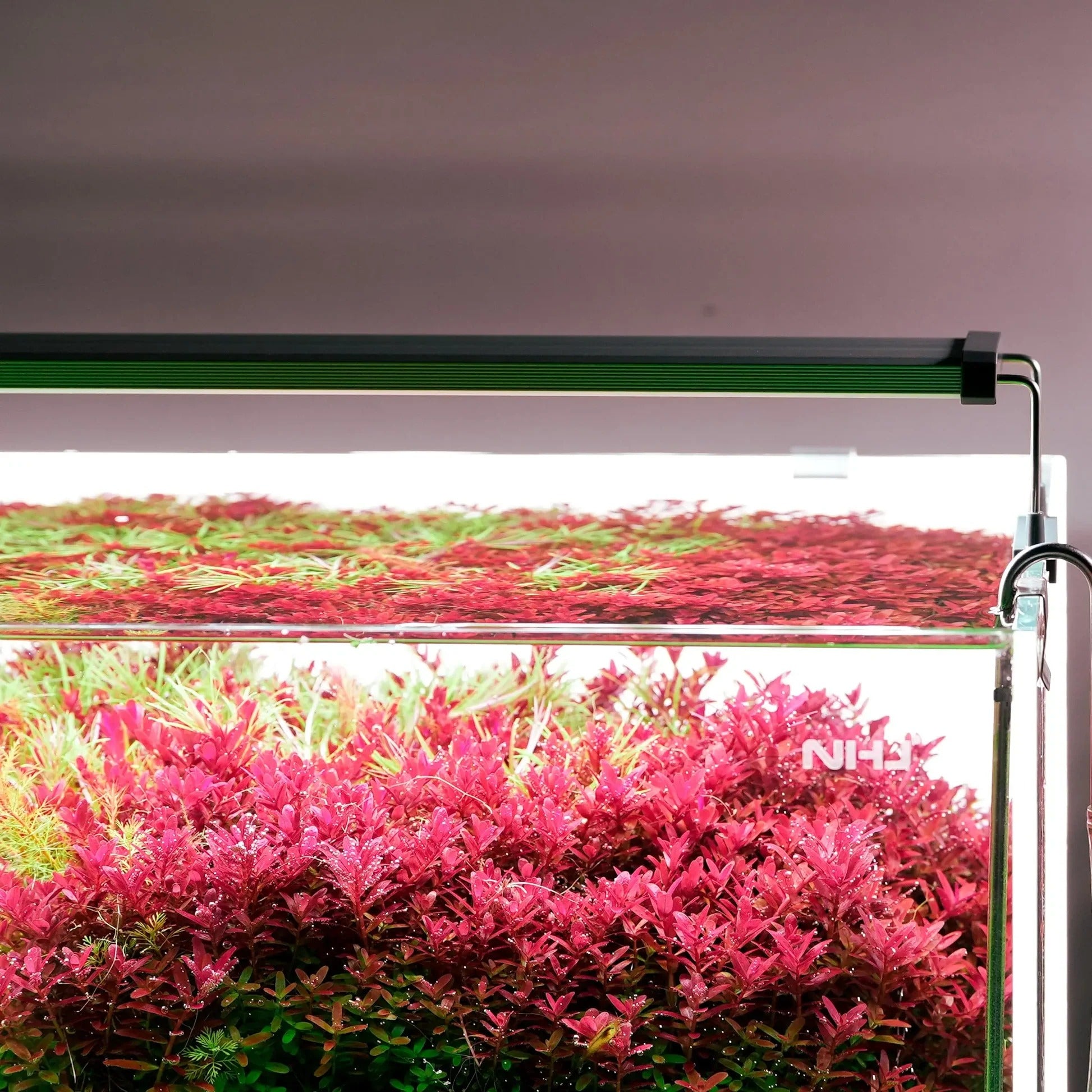 Chihiros B Series aquarium lighting with adjustable brackets and extendable legs, featuring a sleek aluminum alloy construction.