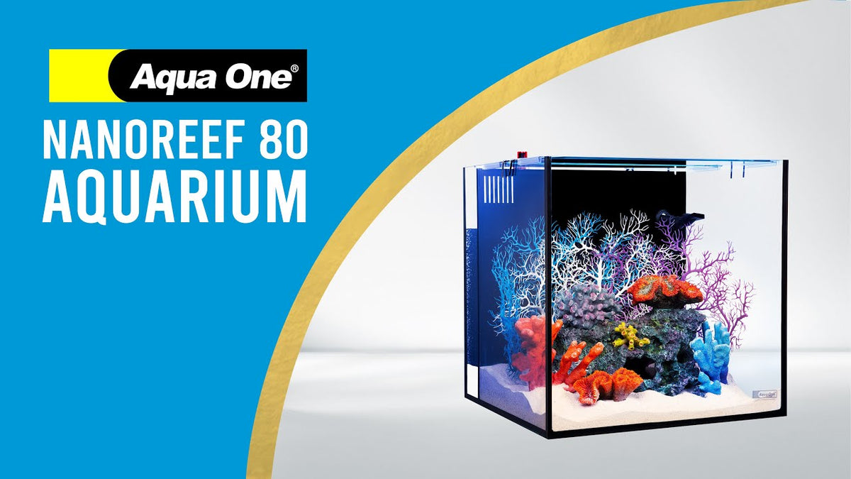 Aqua One NanoReef 80