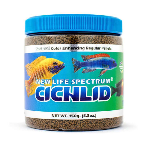 New Life Spectrum Cichlid