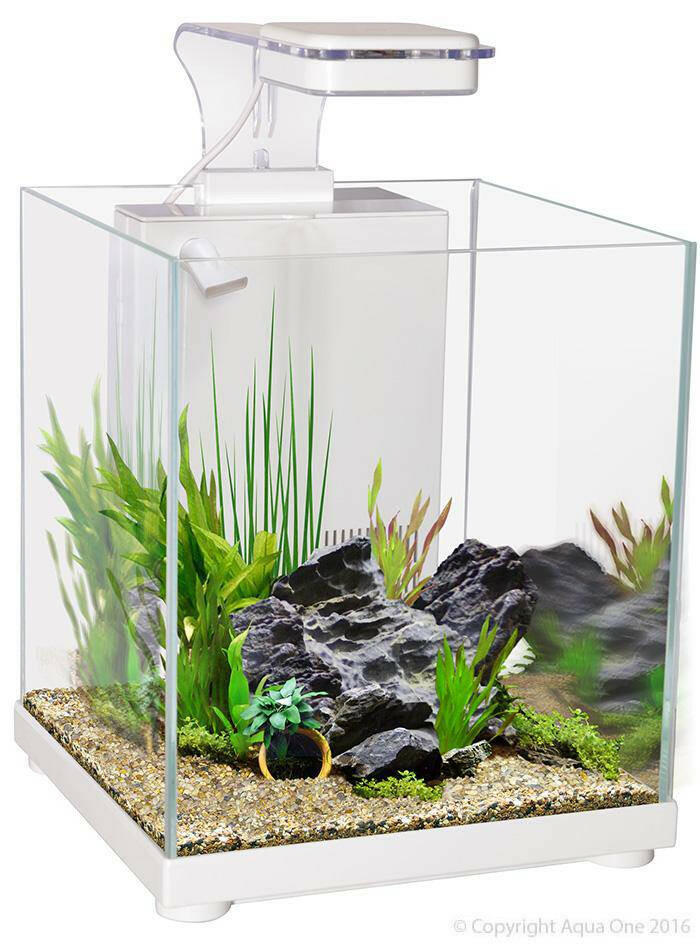Betta Sanctuary Glass Aquarium 10L (White)