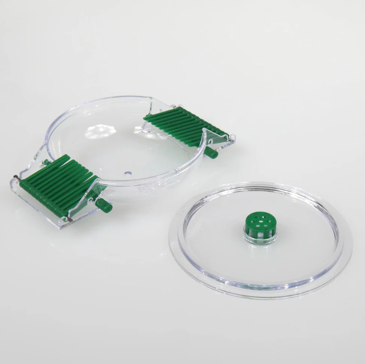 Aquarium Snail Trap