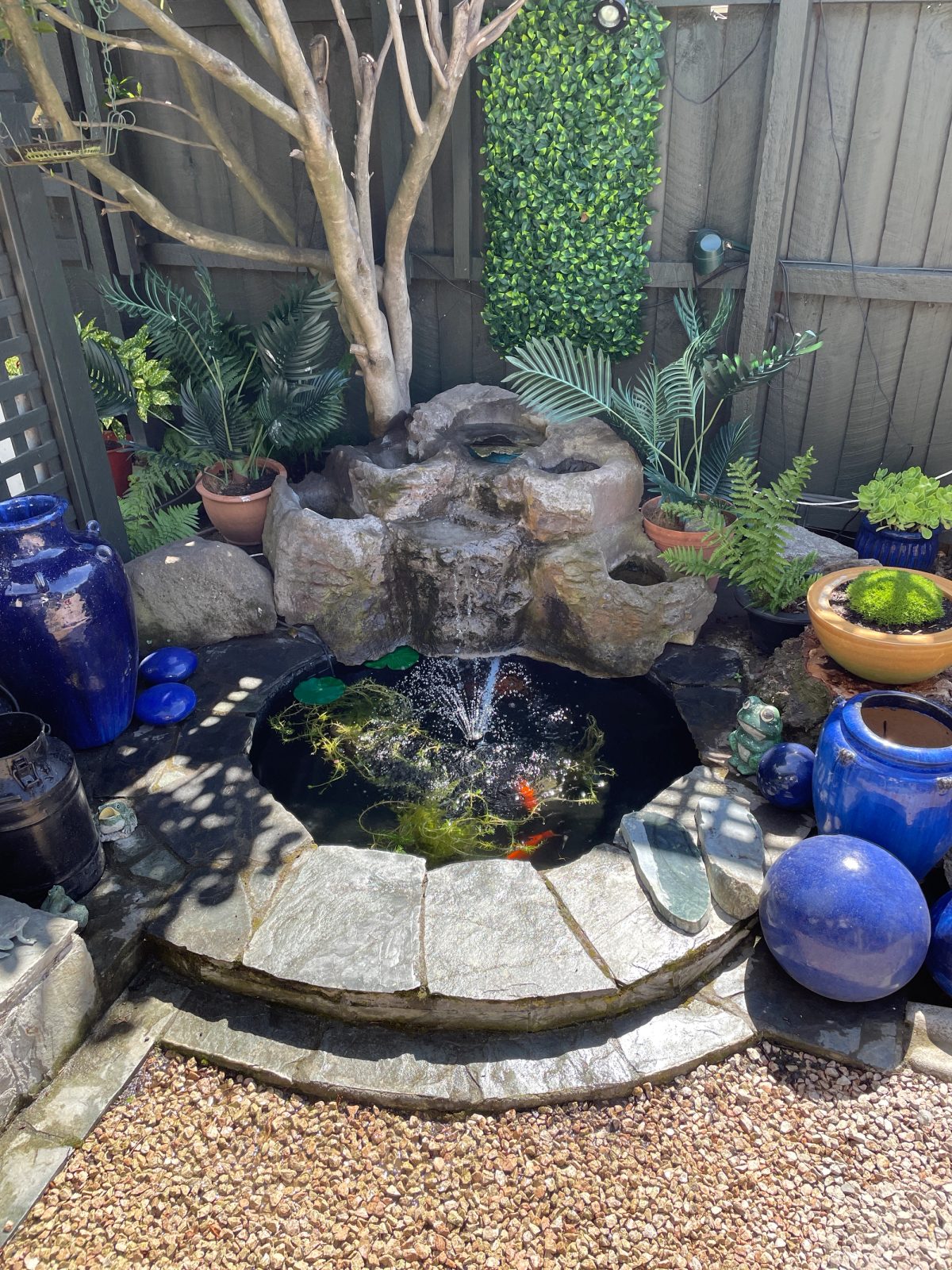 Photo of Pond Maintenance
